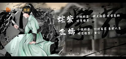 盖世龙少，长篇短剧的魅力与影响