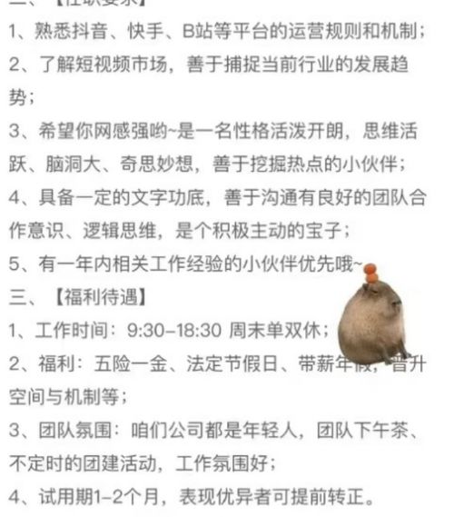 霸婿之路，短剧的魅力与启示