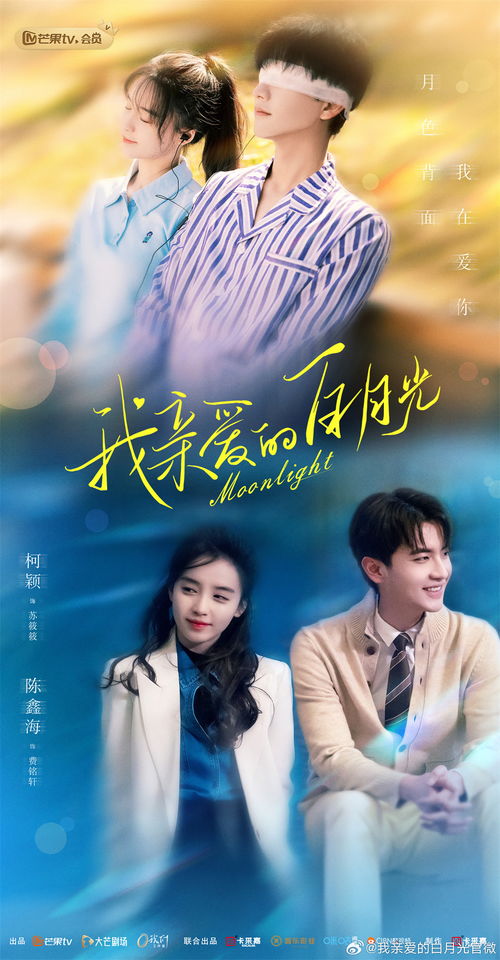 护夫贤妻，短剧中的情感与智慧