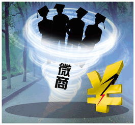浙江微商遭遇骗局，警惕网络陷阱，守护财富安全