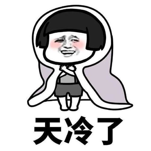冷冷冷冷冷！