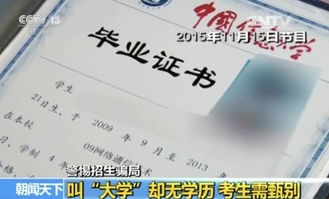 央视曝光证书挂靠陷阱，真相揭露！