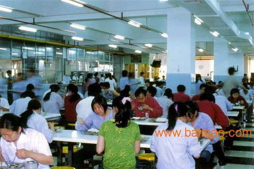 昆明长丰学校食堂承包商被罚578万，一个引发公众关注的教育问题