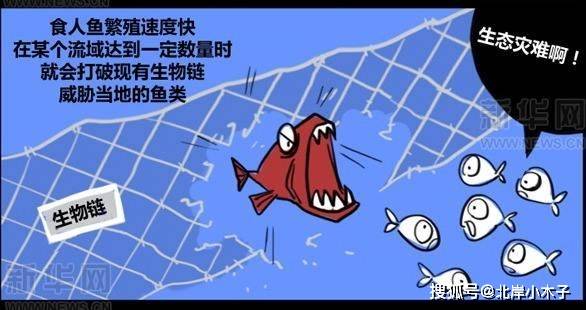 四川自贡观测到恶性外来入侵物种，生态威胁与应对策略