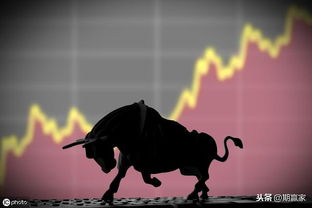 新一轮牛市中的第一个10倍股，揭开其神秘面纱