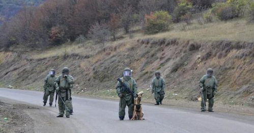 俄罗斯与乌克兰,阵亡军人遗体归还的和平之路 俄罗斯与乌克兰,阵亡军人遗体归还的和平之路