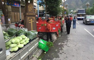 景德镇商户积极回应，游客路边捡陶瓷的背后故事