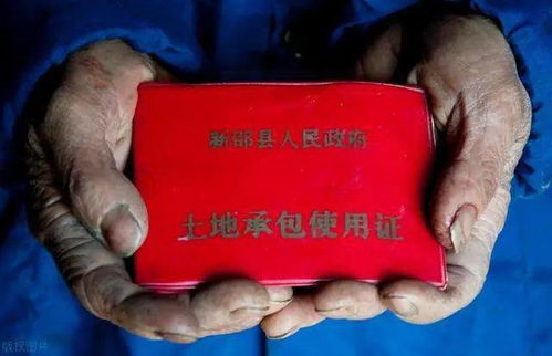 江苏首位农民县长三蟒被查——权力之下的警钟长鸣