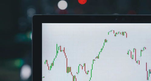 印度神股一日暴涨6692535%的奇迹与启示