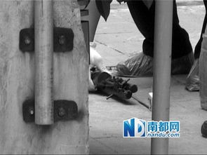 美国夫妻在家刀枪互搏双双身亡_美国一对父子持枪火拼