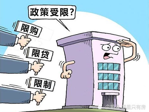 女子月薪4千贷款1400万买两套房_月薪四千房贷能贷多少