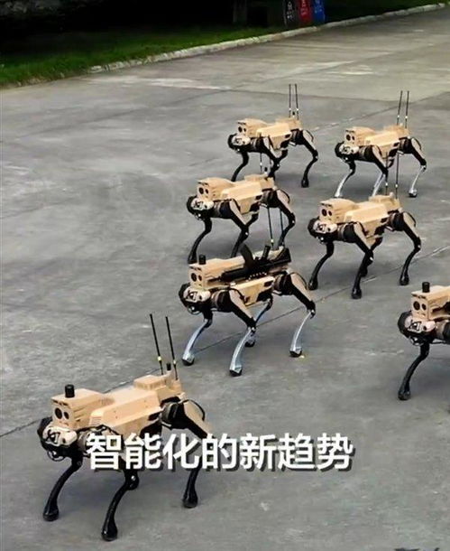 中国造出机器狼群兵器_中国造出机器狼群兵器是真的吗