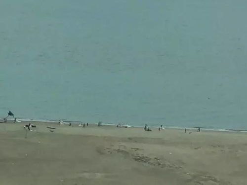 三亚或出现海水倒灌_三亚出现海水倒灌事件