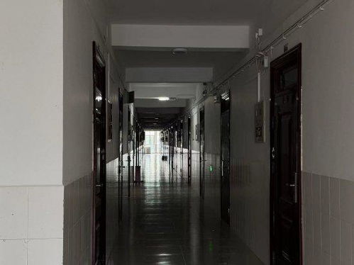 湘潭大学宿舍投毒案已移交法院