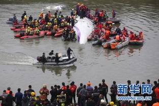 菲村民分食海龟致3人死亡31人送医