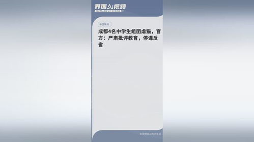 4名中学生组团虐猫？官方：停课反省