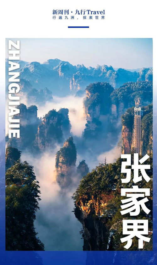 张家界长满了韩国人