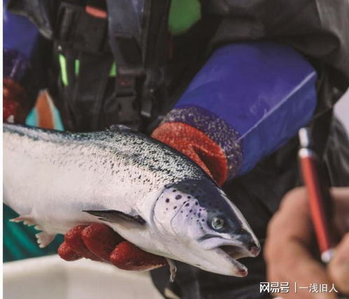 向佐晒一家四口照片称一生最爱