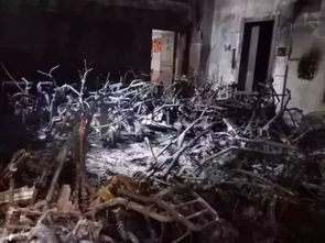 6手电瓶在家充电爆炸 18岁男孩身亡