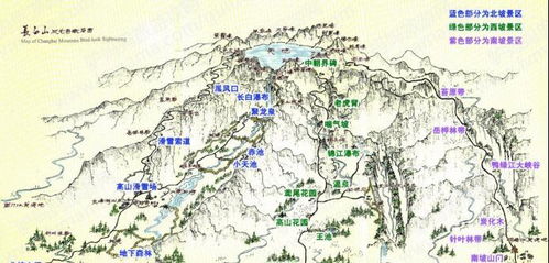 詹姆斯：东契奇生病是重大打击