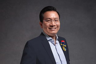 红星美凯龙董事车建兴被调查并留置
