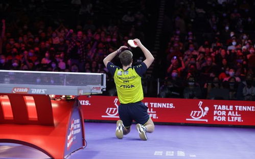 王楚钦谈世乒赛压力大避免输外战