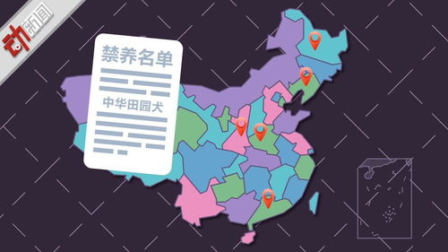 多地宣布对中华田园犬解除禁养