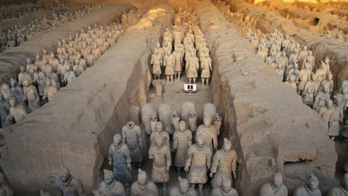 兵马俑坑咋成“失物招领处”了