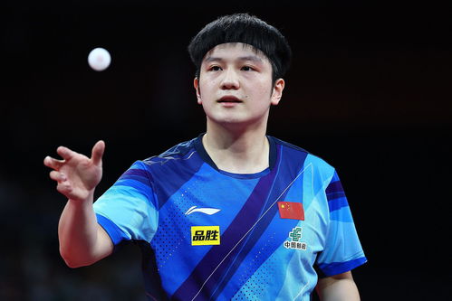 国乒战胜法国队 取得6连胜 国乒战胜法国队 取得6连胜