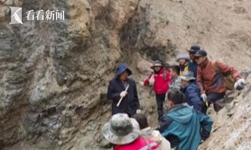 吉林发现大型金矿