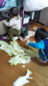 网友拍母亲晒袜子:一甩全挂墙上 网友拍母亲晒袜子:一甩全挂墙上