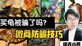 微商交易，如何避免被骗？
