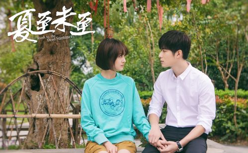 离婚后，总裁前夫的疯狂追爱之旅