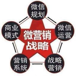 资深微商被骗，警惕网络陷阱，守护财富安全