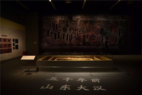 探寻长生五千年，一部引人入胜的短剧