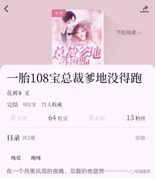 一胎两宝，总裁爹地请签收——短剧的魅力与家庭情感交织