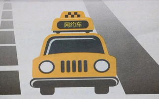 顺风车司机为赚快钱组织偷渡_顺风车犯罪事件