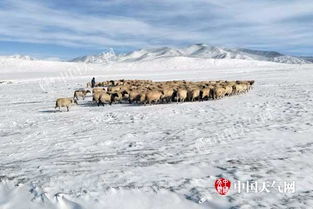 泰山积雪深度近20厘米达暴雪量级