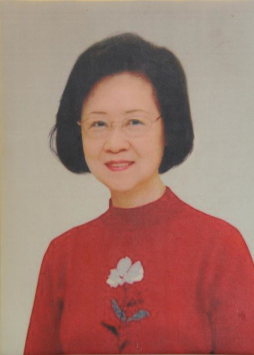 琼瑶最后一部作品