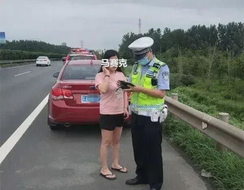女子高速上拦车卖盒饭