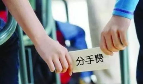 自驾游阿姨已转男方16万分手费