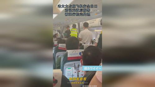 打开飞机安全出口会面临什么处罚
