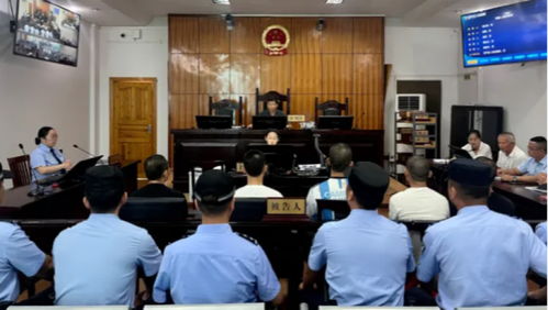 辅导员诈骗上百人 校方是否要担责
