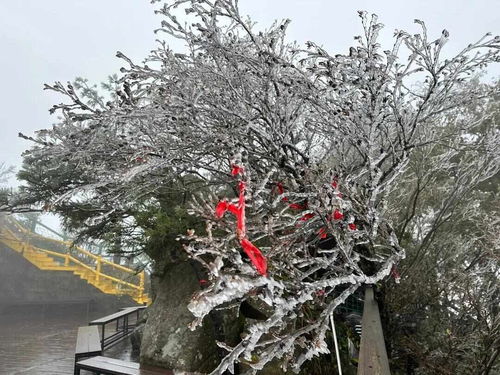 南北分界线具象化了