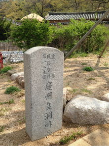 韩国庆州出土1600年前将军墓