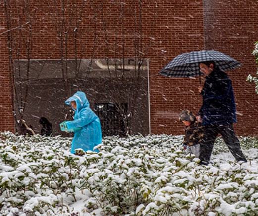 全国多地放“雪假”