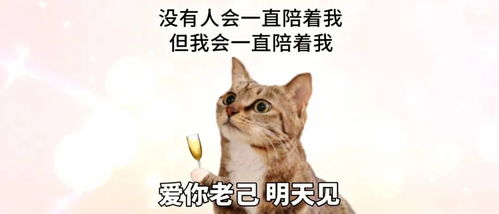 “爱你老己”为何击中全网年轻人