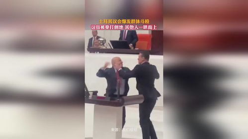 土耳其议会爆发斗殴：议员们互相撕打