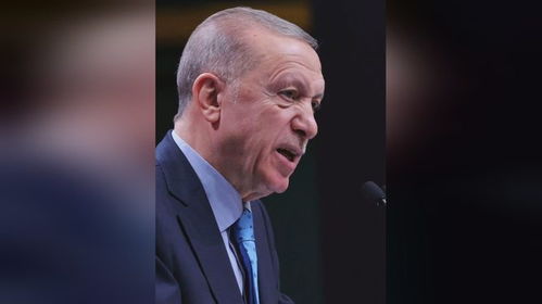 土耳其总统与阿联酋总统通电话