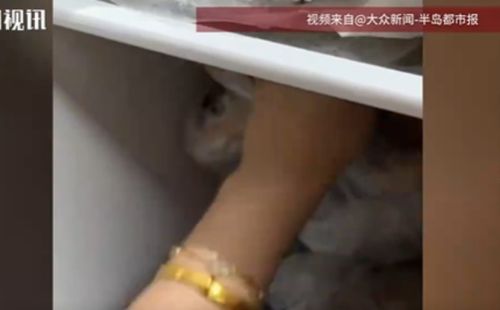 女子将十几万黄金藏冰箱：有安全感